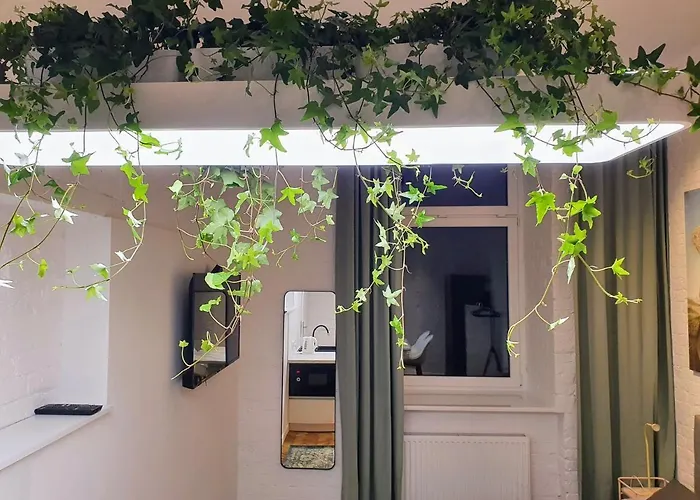 Takie Studio, Ze Zal Nie Wynajac Łódź